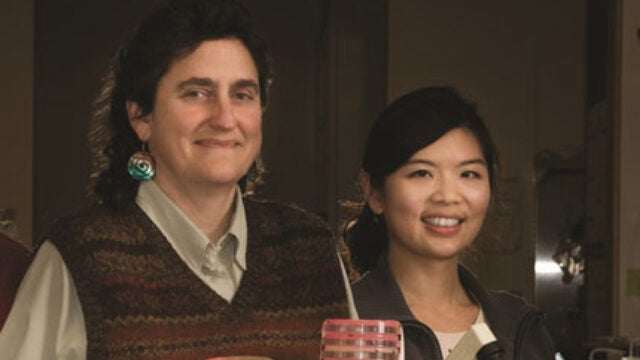 The Synergistic Effect