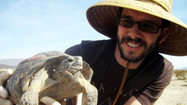 Emerging From Their Shells