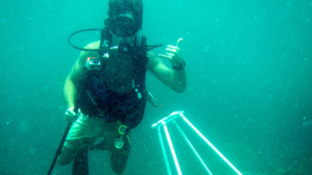 Taking the Bull by the Horns