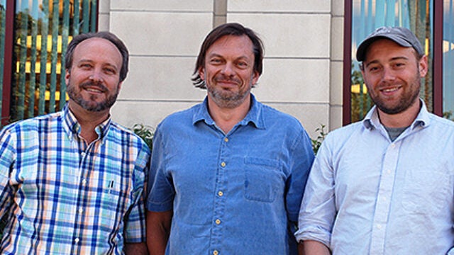 The Small But Mighty Chickpea