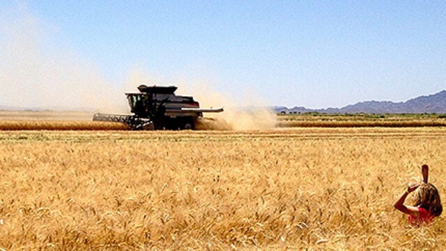 From Finance to Farming