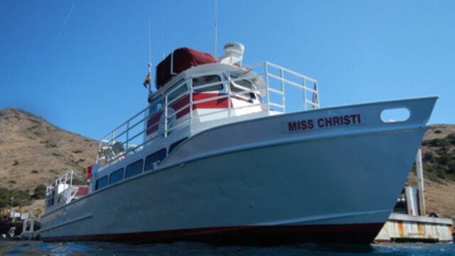 Miss Christi Gets Green