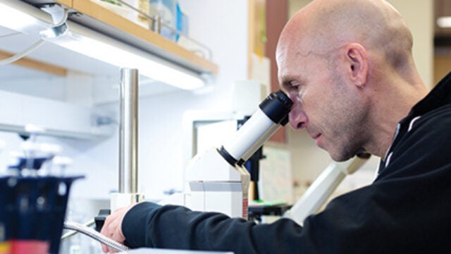 New Finding May Compromise Aging Studies