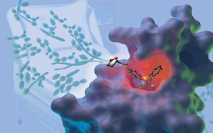 International team uncovers new approach to combat deadly fungal infection