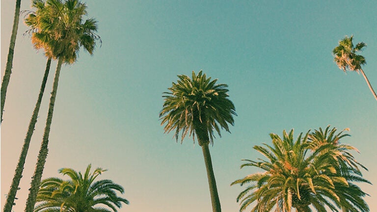 USC Dornsife faculty featured at nation’s largest book festival