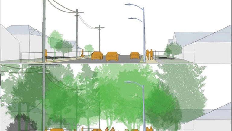USC experts say tree planting could double shade across L.A.’s Eastside