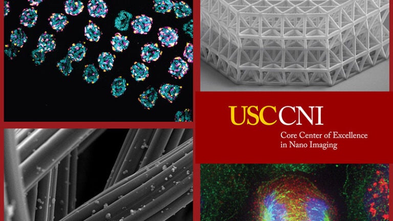 USC's new cryogenic electron microscopy facility officially opens for  business