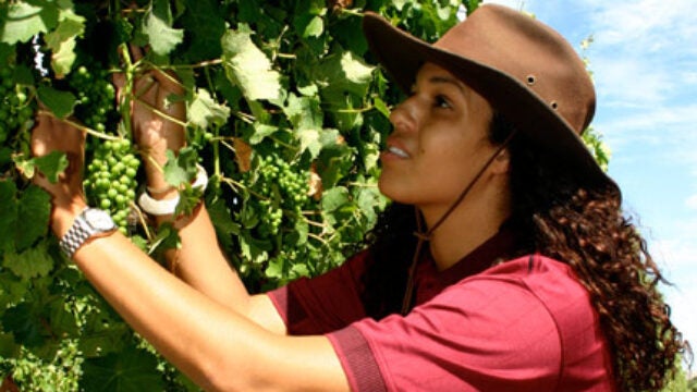 Going Green and Giving Back