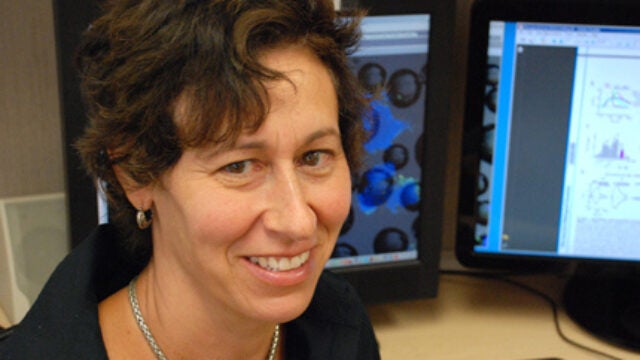 Sparkling Drinks Spark Pain Circuits