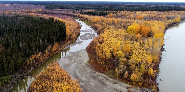 Aerial view of a river winding through a forested landscape in autumn, with trees displaying vibrant yellow, orange, and green foliage. The riverbank reveals areas of exposed sand and silt.