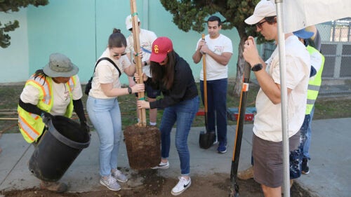 Two women hoist a young tree into a hole as city and community workers assist and observe