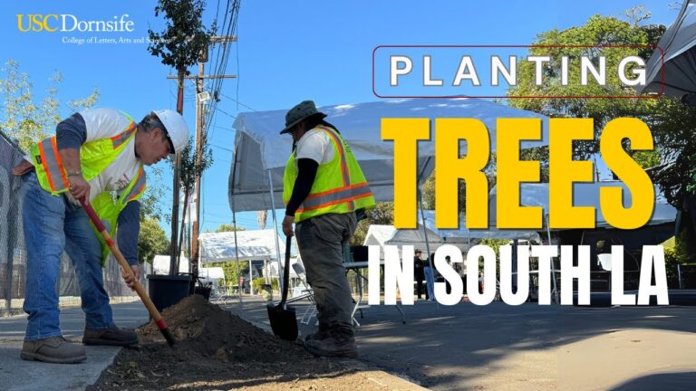 Planting Trees in South LA