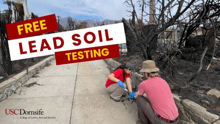 Free Lead Soil Testing