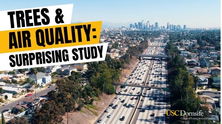 Trees & Air Quality: Surprising Study