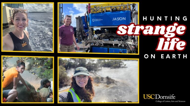 Hunting Strange Life on earth