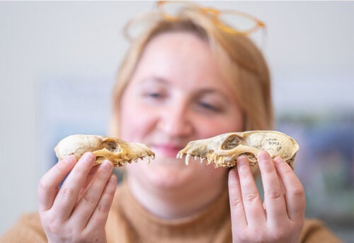 Kimberly Schoenberger displays fox skulls side by side in each hand