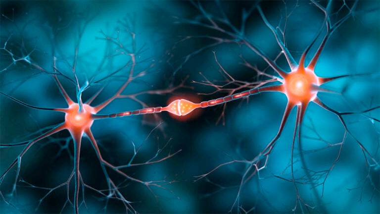 Illustration of two neurons communicating