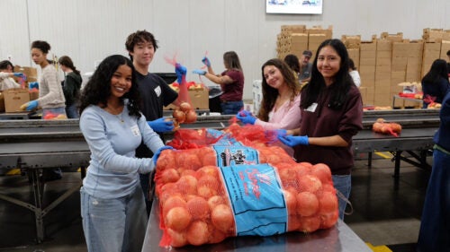 Students sort oranges at a food bank facility