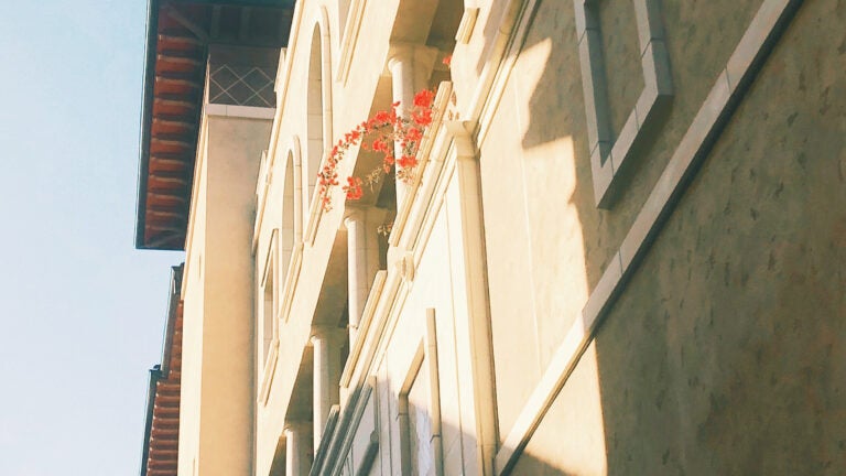 Red flowers hang from the balcony of a building.