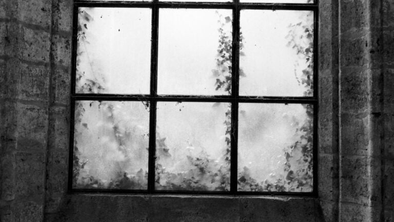 Black-and-white photo of a window pane.