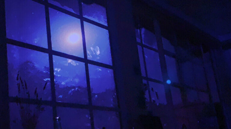 Illustration of windows looking out on a blue night sky. The view makes it look like we are underwater.