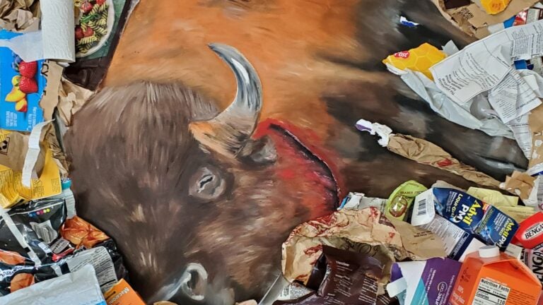 Collage depicting a dead buffalo or ox, surrounding by various plastic packaging and waste
