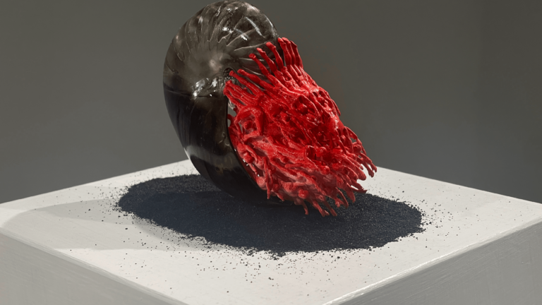 Bright red nautilus sculpture with gray-black shell, resting on black substrate.