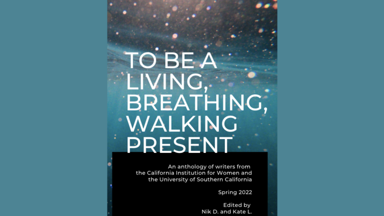 Image of a book cover with the text 