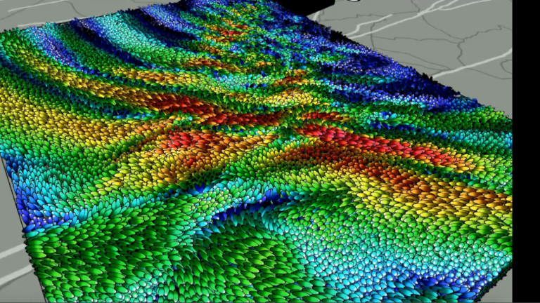 Vector visualization of ground motions from TeraShake simulation.