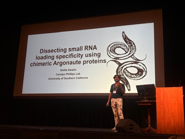 Khlifa giving talk at MAPSS