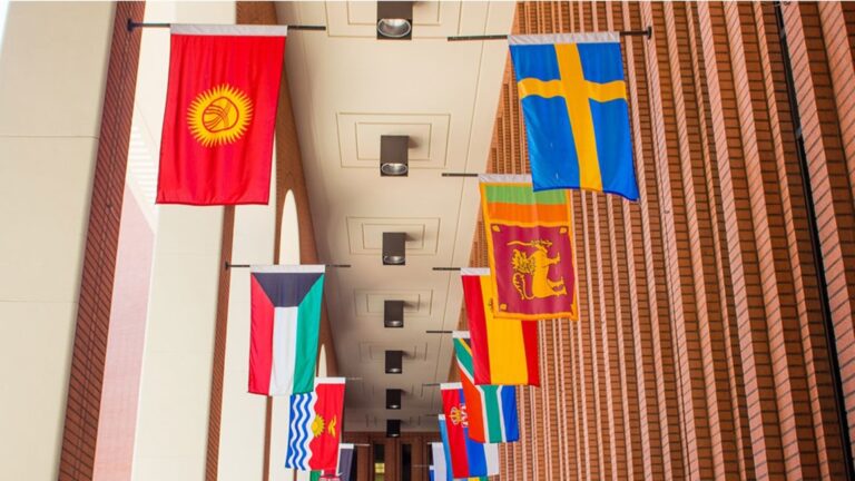 A picture of a variety of flags representing different nations across the globe hanging in the outdoor hallways of the DMC building.