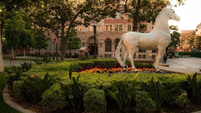 Traveler is a horse who is the mascot of the University of Southern California.