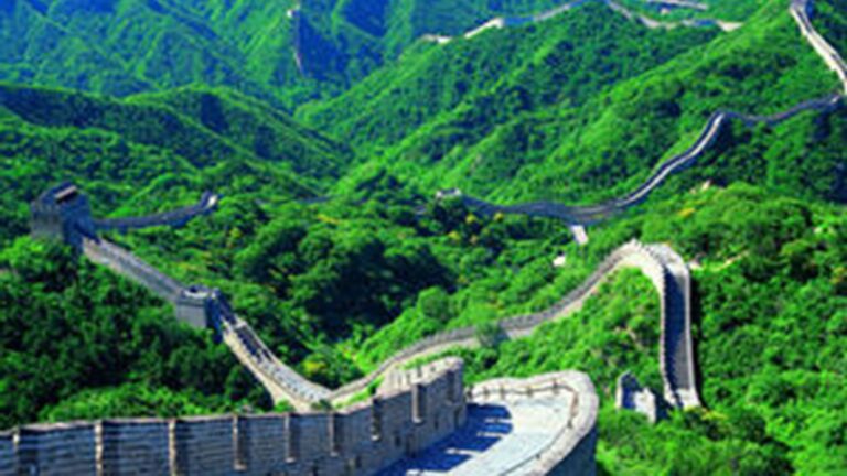 A picture of the Great Wall of China winding through a vibrant green forest.