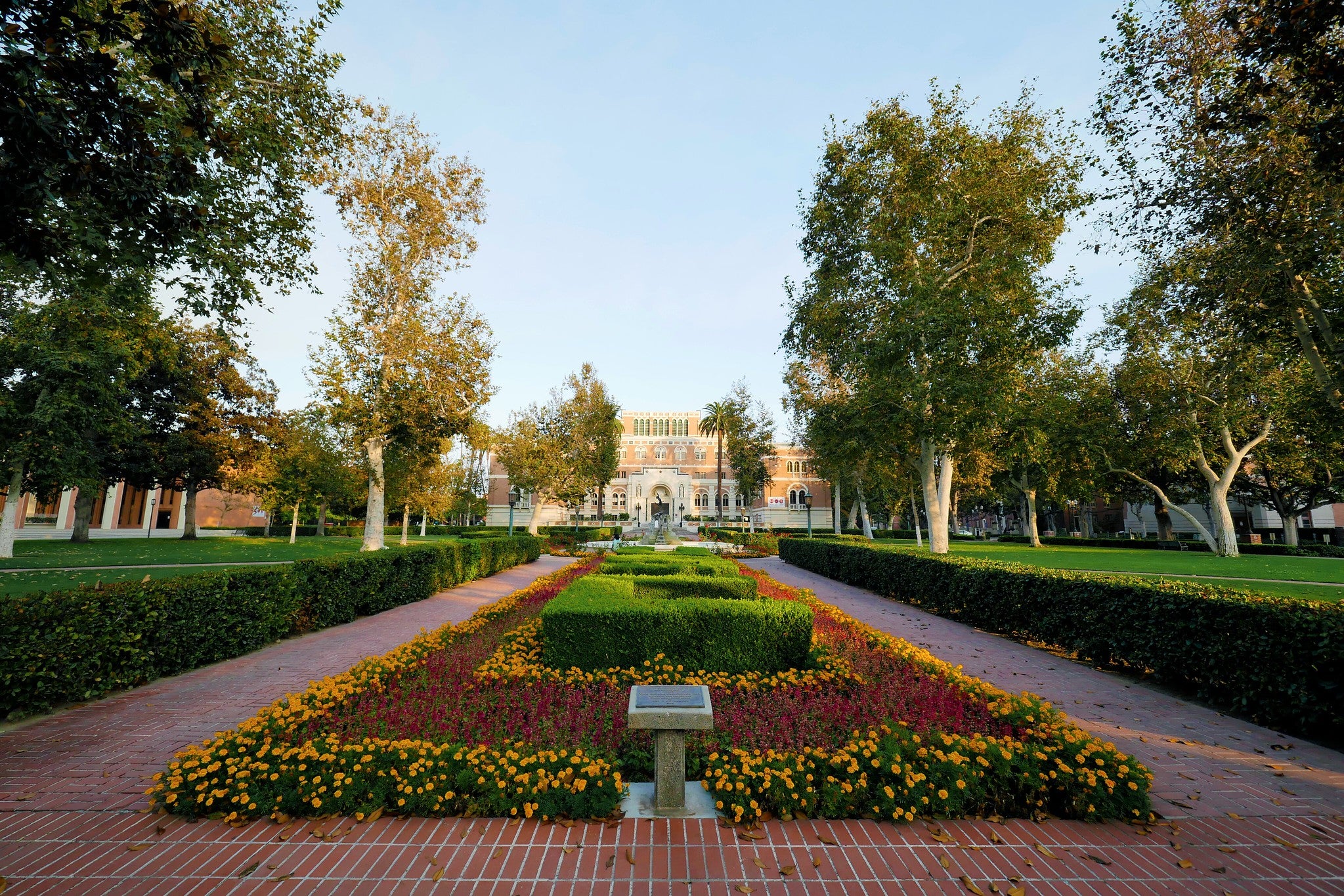 USC Psi Chi - International Honor Society in Psychology