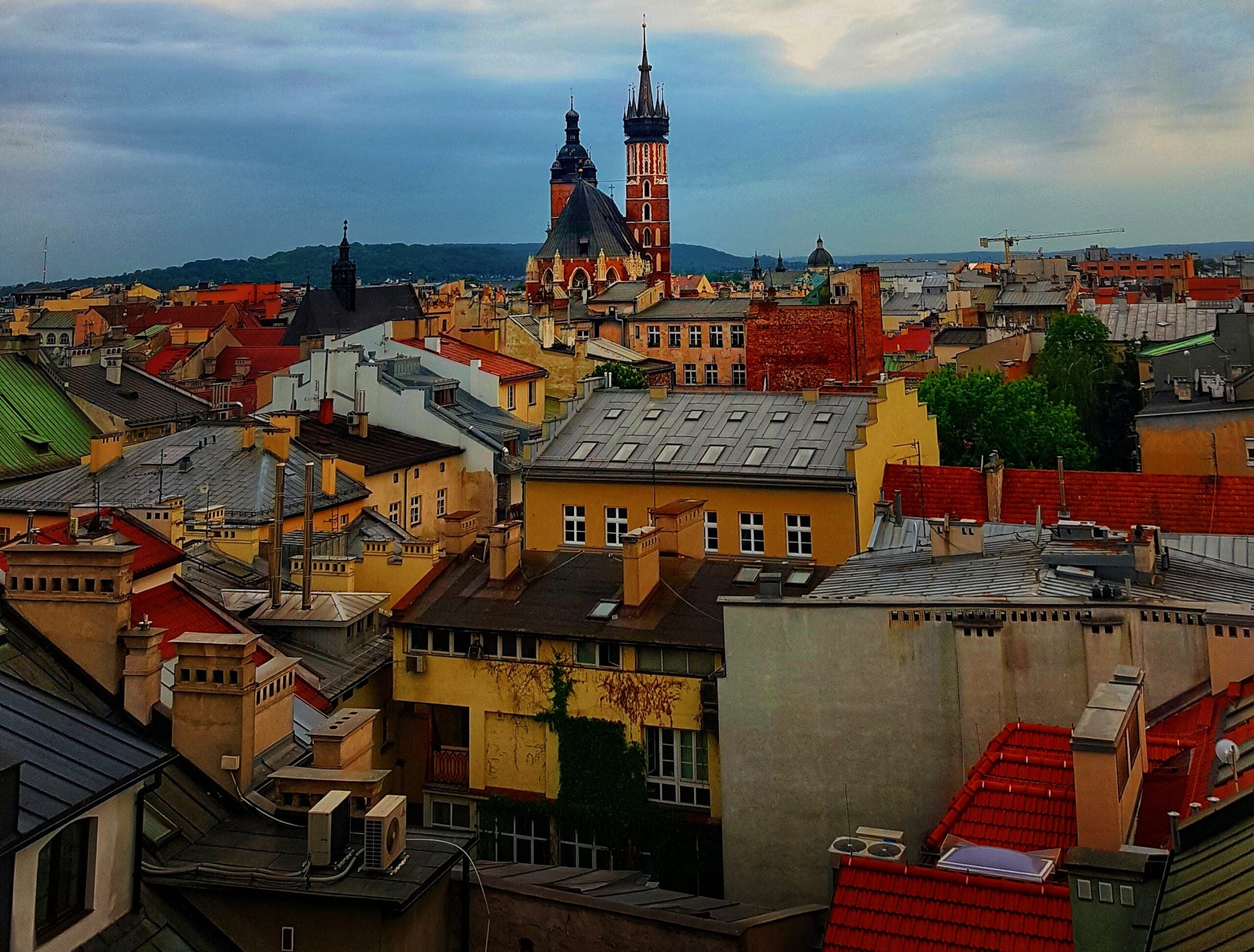 Polish - Department of Germanic & Slavic Languages and Literatures