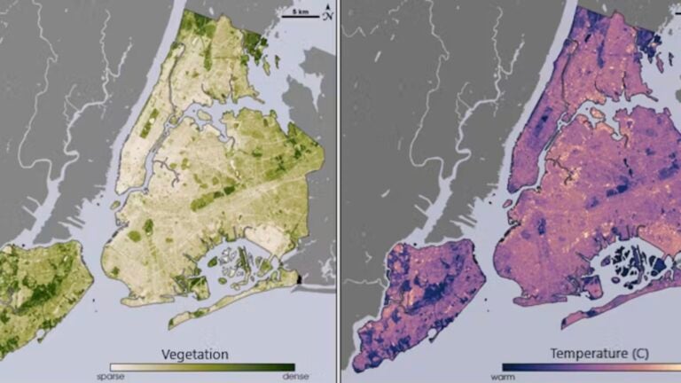 Comparing maps of New York City’s tree cover and temperature differences shows the cooling effect of parks and neighborhoods with more trees. NASA/USGS Landsat