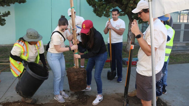 Public Exchange’s Monica Dean (wearing USC hat) and Carling Monder plant a tree in L.A.’s West Adams neighborhood with help from staff and volunteers from the Koreatown Youth and Community Center and L.A. Sanitation and Environment. (Photo: Stephen Gee.)