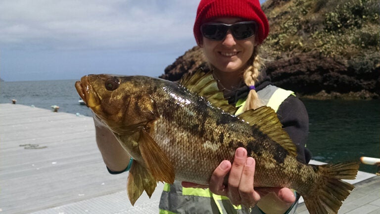 Volunteer holding up a large fish they caught