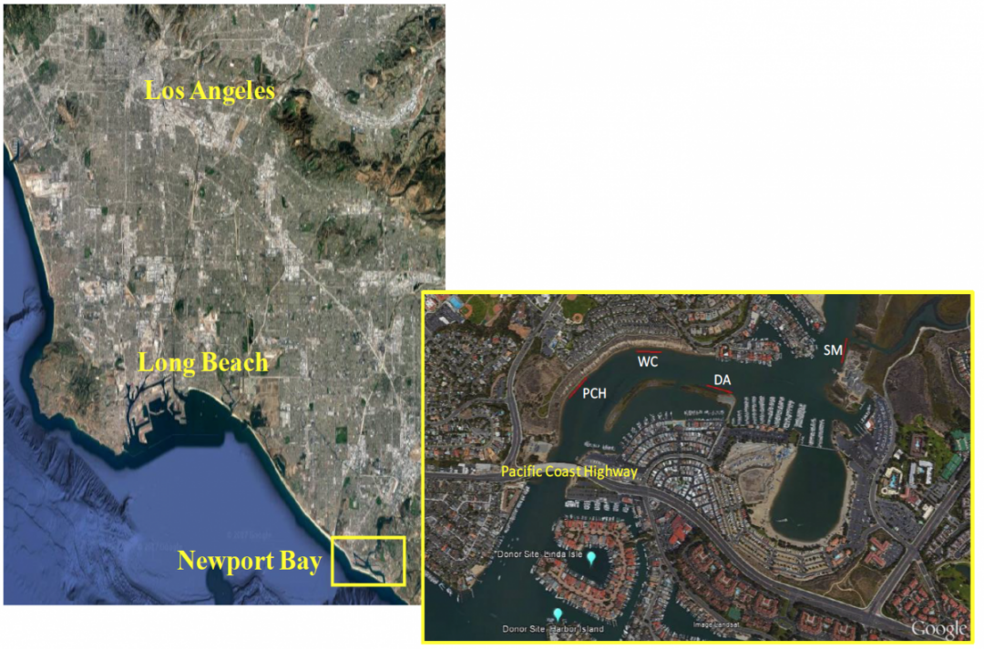 Google Earth Image of Upper Newport Bay with project's area of treatment pointed out.