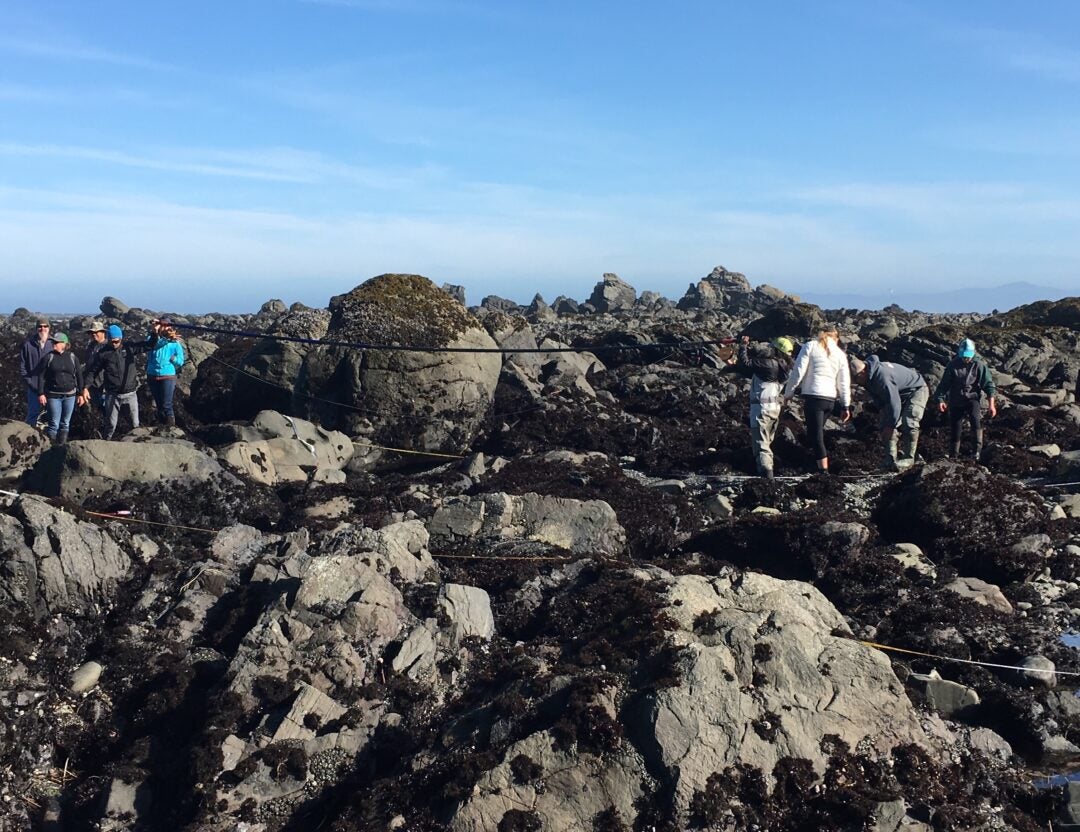 The research team collecting imagery in the rocky intertidal.