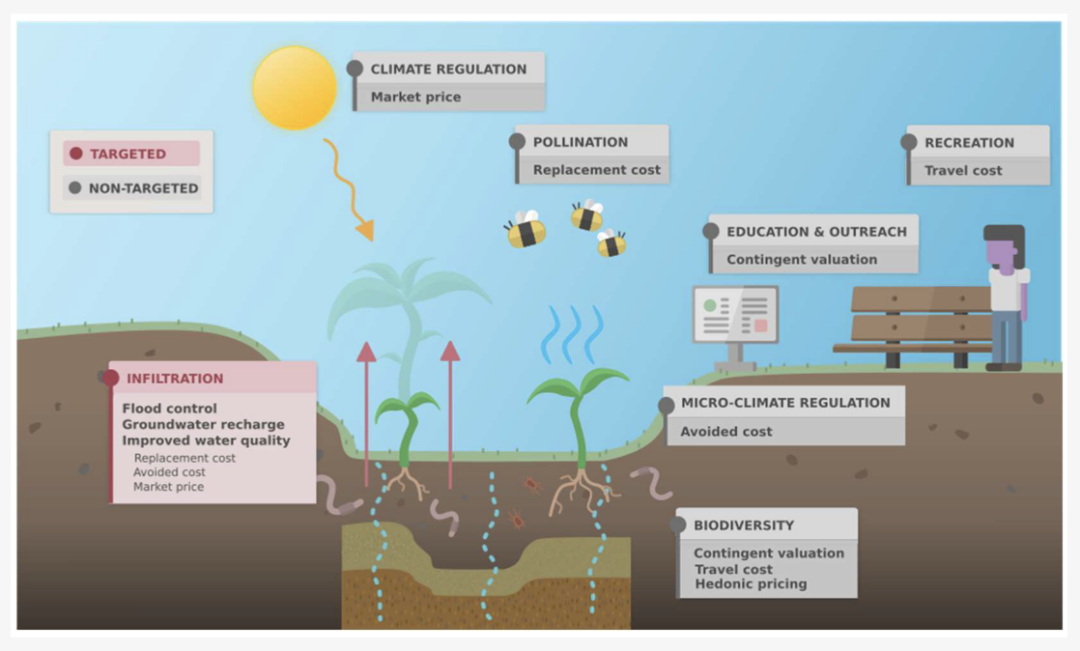 Diagram of targeted and non-targeted ecosystem services associated with natural stormwater treatment systems (a bioretention system pictured here) and methods used to assign a value to them.