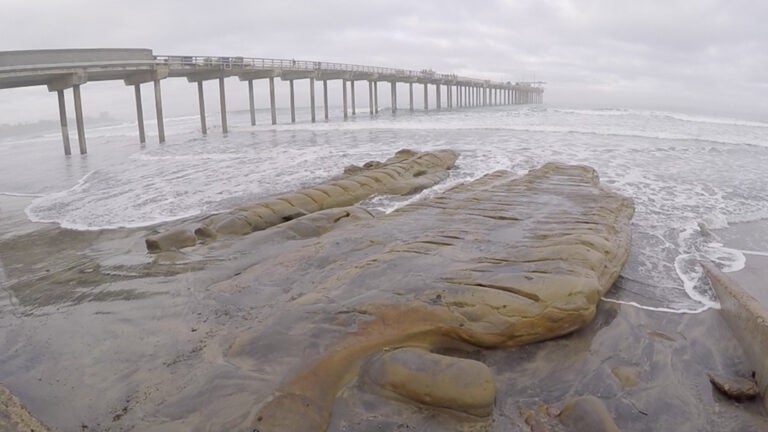 Pier and exposed rocks at Scripps Institution of Oceanography. These rocks are burried under sand for most of the year.