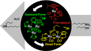 Catalyst Evolution