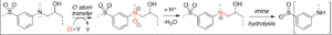 Mechanism and Catalysis