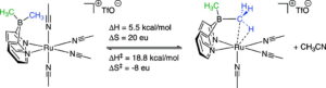 Thermochemistry and Molecular Structure of a Remarkable Agostic Interaction in a Heterobifunctional Ruthenium−Boron Complex