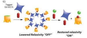 Non-Covalent Self Assembly Controls the Relaxivity of Bound Gd Complexes