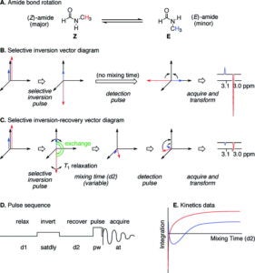 An Inversion Recovery NMR Kinetics Experiment