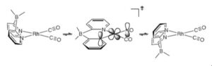 Synthesis, Structure, and Conformational Dynamics of Rhodium and Iridium Complexes of Dimethylbis(2-pyridyl)borate