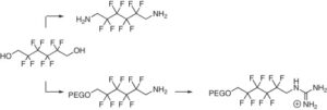 Synthesis and Phosphonate Binding of Guanidine-Functionalized Fluorinated Amphiphiles