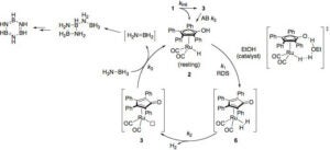 New Catalyst Development